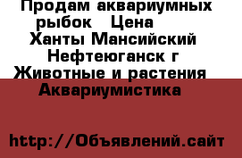 Продам аквариумных рыбок › Цена ­ 50 - Ханты-Мансийский, Нефтеюганск г. Животные и растения » Аквариумистика   